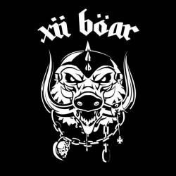 XII Boar : Damage Case